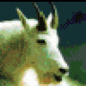 Oldgoat