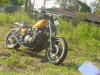 dsc00095.jpg