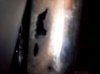 100_0516.jpg