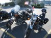 img_0389thm.jpg