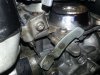 carb spring.jpg