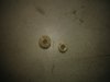 20150814_203207.jpg
