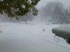winter 2015.jpg