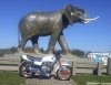 Jumbo-1.jpg