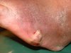 DSC08433.JPG