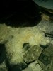 download_20160310_051055.jpg