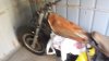 20160403_103816.jpg