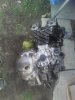 IMG_20160511_162258.jpg