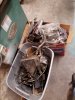 20160724_154515.jpg