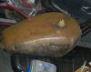 rusty.jpg