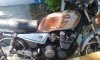 650 pic 1.jpg