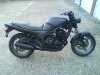 the rattling 017.jpg