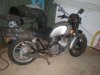 pb160311.jpg