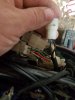 20170516_085128.jpg