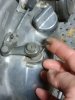 Yamaha Spring.jpg
