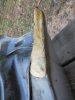 SECA_OEMTank1_092717.JPG