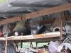 _XJ_Fairing.JPG