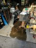 IMG_20171012_081420.jpg