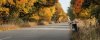 eight_ball_autumn_04.jpg