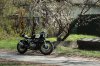 cafe-racer_sakura_03.jpg