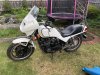 DrDY450.jpg