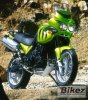 20127_0_1_2_tiger_image%20by%20triumph.%20published%20with%20permission.[1].jpg