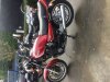 ABC505C5-30AC-4BFD-B092-1B9A6BC44922.jpeg