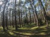 GH010028.MP4_snapshot_00.13.266.jpg