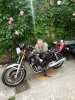 IMG_20200515_145301.jpg