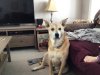 6CF8B79D-6176-4D5D-AC74-D77887F83FD0.jpeg