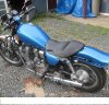 bike 009.jpg
