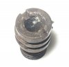 plug cap screw.jpg