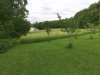 06-field.jpg