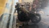 IMG_0289.jpeg