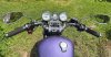 IMG_8386.jpeg