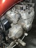 IMG_0391.jpeg