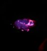 IMG_3031.jpeg