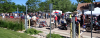 upload_2026-6-13_16-36-5.png