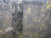 mini-windshield.jpg