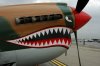 800px-p40_sharks_teeth.jpg