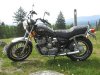 burnaby mountain small.jpg