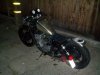 myratbike3.jpg