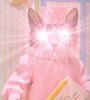 blinkycat.gif
