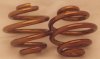 copper springs.jpg