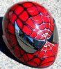 spider helmet.jpg