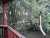 img_20110921_182320.jpg
