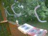 img_20110921_184147.jpg