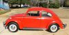 64vw.jpg