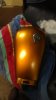 img_20130305_185425.jpg