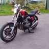 Calichris12078